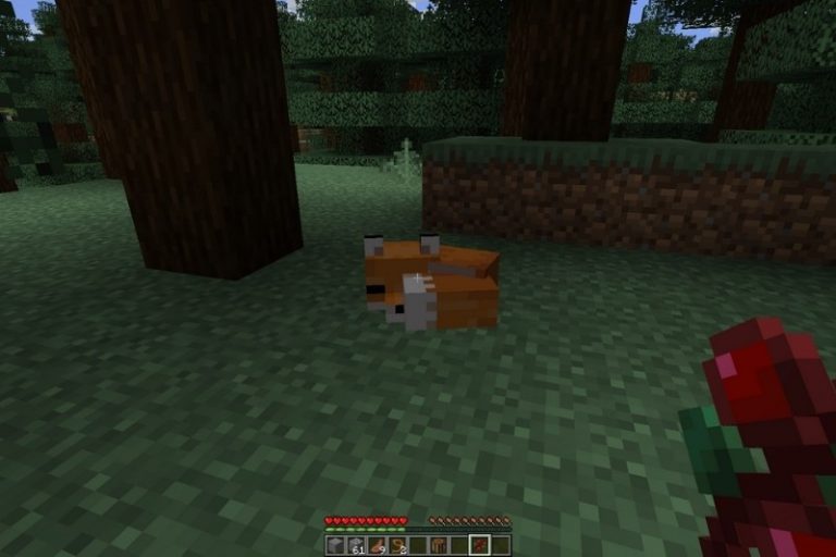 apprivoiser renard minecraft