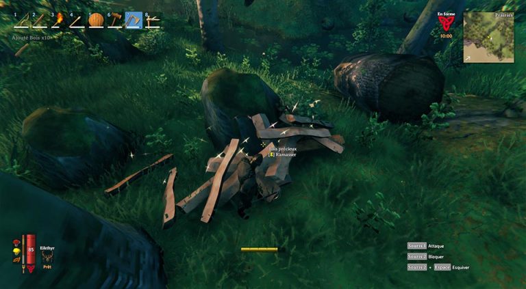 bois précieux valheim